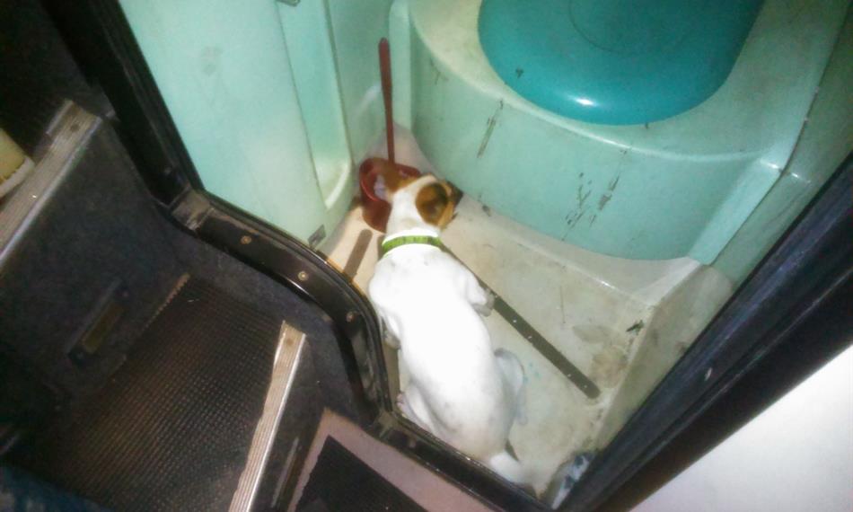 2015-5-26-109KONTRABAND BUS 1.jpg